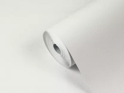 Обои под покраску виниловые на флизелиновой основе за 4 345฿ (ID:79419)