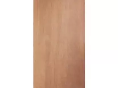 Фанера из каучукового дерева, номер 6, класс B за 285฿ (ID:79623)